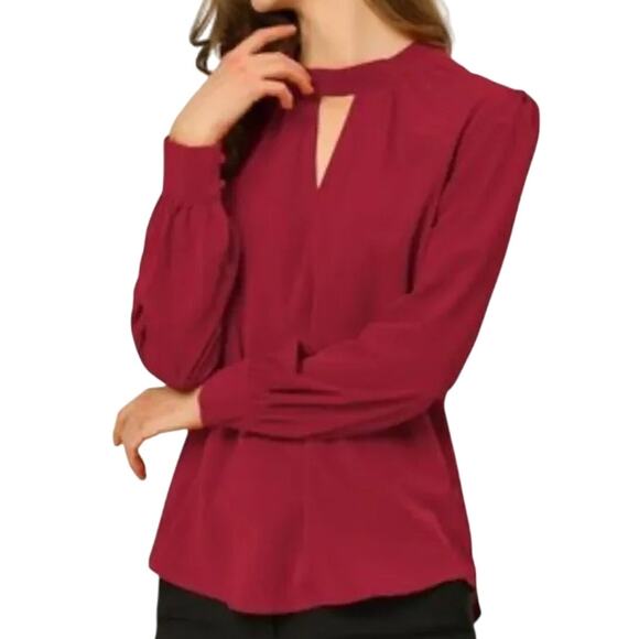 Allegra K Stand Collar Long Sleeve Chiffon Burgundy Blouse, Size L, New with Tag - Picture 3 of 7